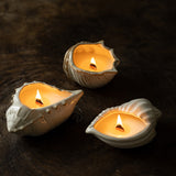Make It for You — Seashell Candle Making Kit